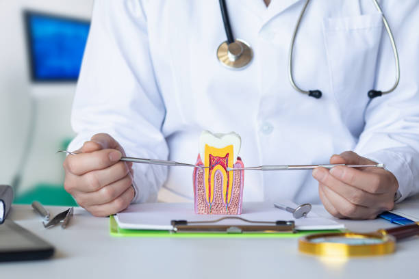 Best Same-Day Emergency Dental Services in Wallburg, NC